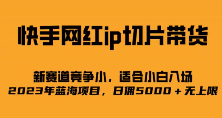 快手网红ip切片新赛道，竞争小事，适合小白 2023蓝海项目-有道网创