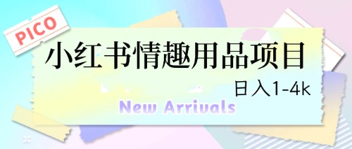 最新小红书情趣用品项目，日入1-4k-有道网创