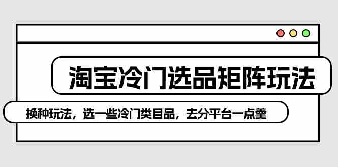 （10159期）淘宝冷门选品矩阵玩法：换种玩法，选一些冷门类目品，去分平台一点羹-有道网创