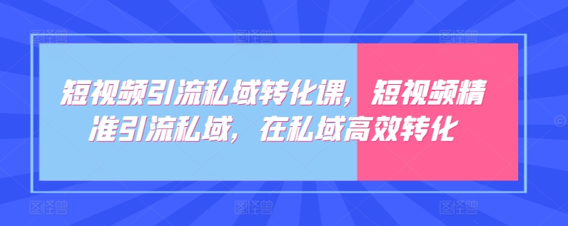 短视频引流私域转化课，短视频精准引流私域，在私域高效转化-有道网创