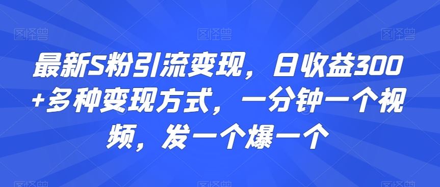 最新S粉引流变现，日收益300+多种变现方式，一分钟一个视频，发一个爆一个【揭秘】-有道网创