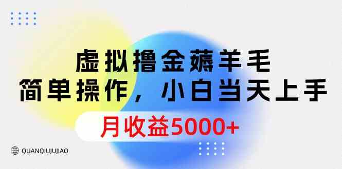 （9864期）虚拟撸金薅羊毛，简单操作，小白当天上手，月收益5000+-有道网创