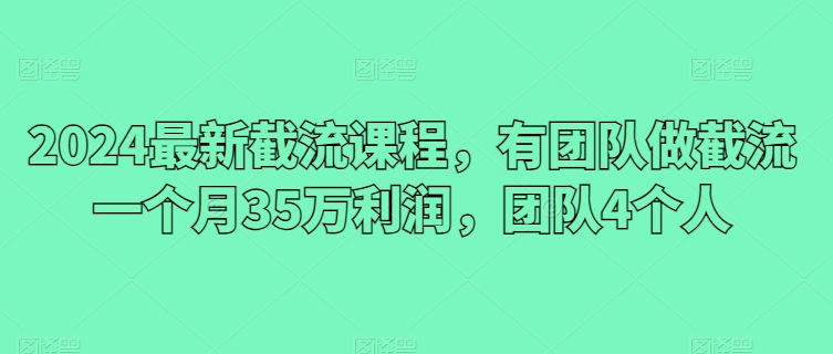 2024最新截流课程，有团队做截流一个月35万利润，团队4个人-有道网创