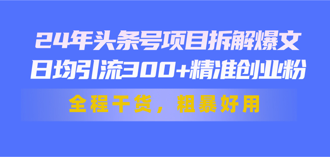 24年头条号项目拆解爆文，日均引流300+精准创业粉，全程干货，粗暴好用-有道网创