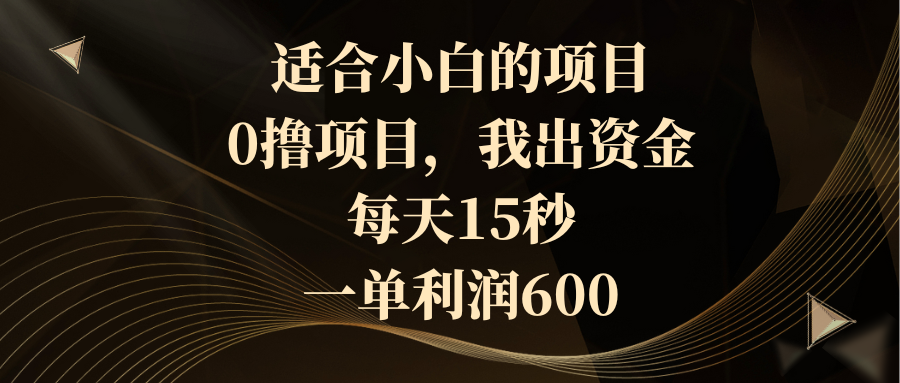 适合小白的项目，0撸项目，我出资金，每天15秒，一单利润600-有道网创