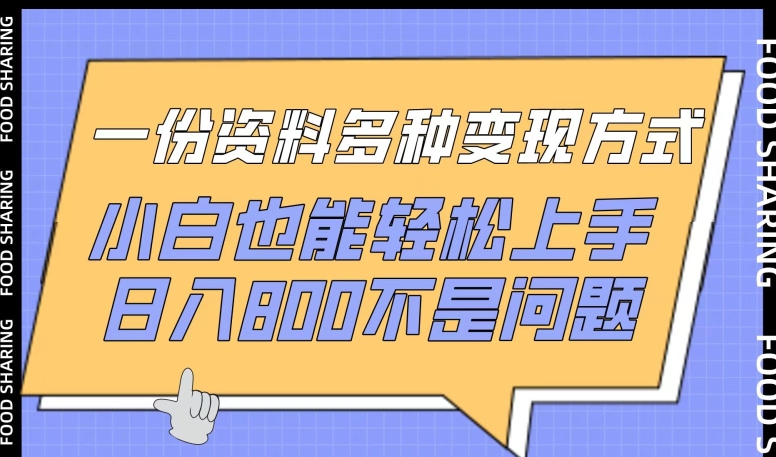 一份资料多种变现方式，小白也能轻松上手，日入800不是问题-有道网创