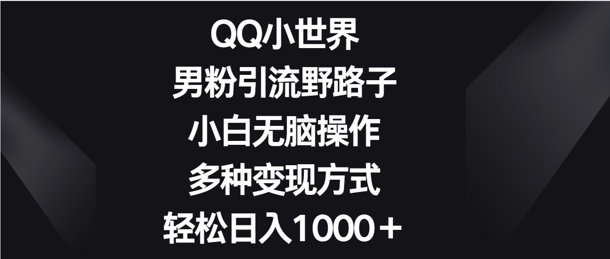 QQ小世界男粉引流野路子，小白无脑操作，多种变现方式轻松日入1000＋-有道网创