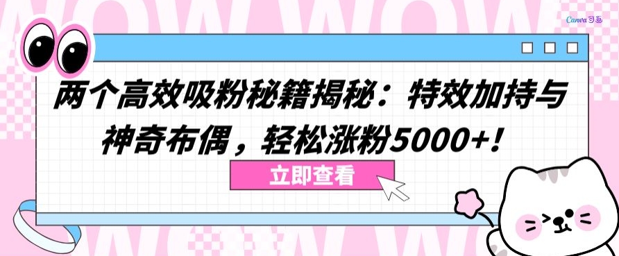 两个高效吸粉秘籍揭秘：特效加持与神奇布偶，轻松涨粉5000+-有道网创