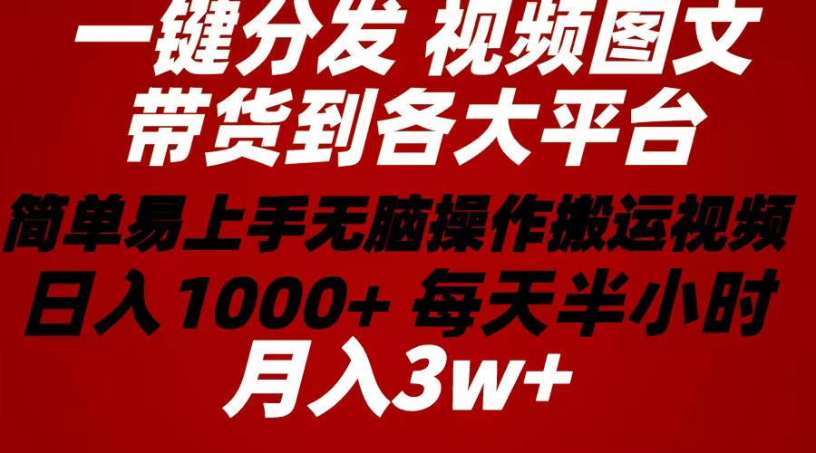 （10667期）2024年 一键分发带货图文视频  简单易上手 无脑赚收益 每天半小时日入1…-有道网创