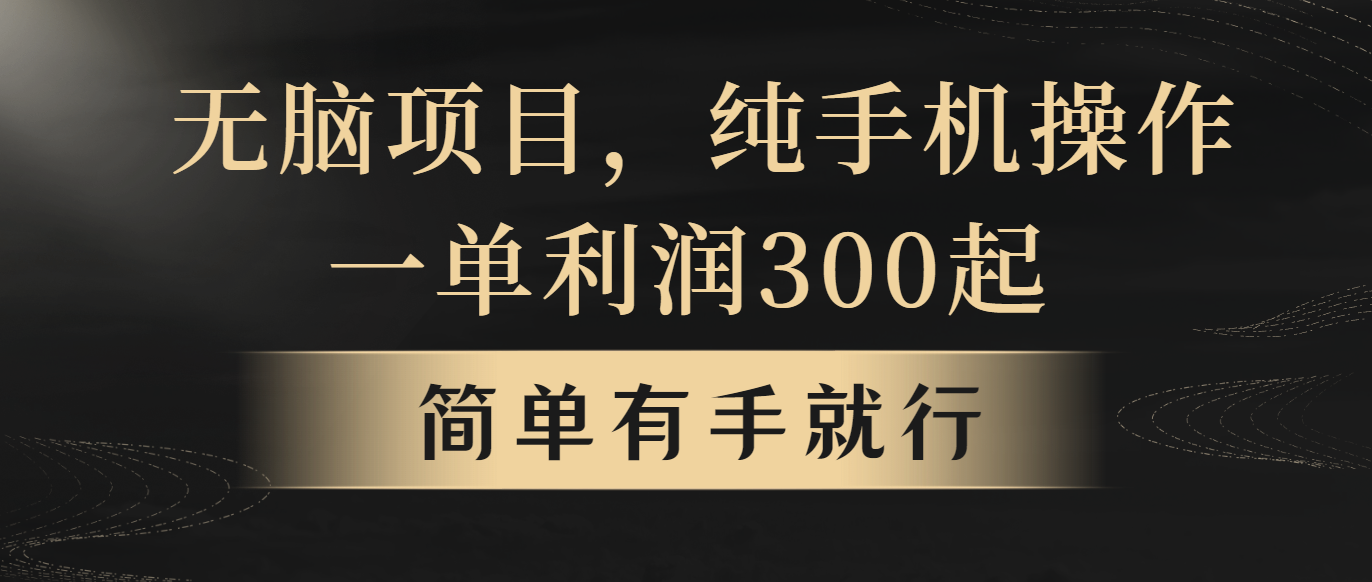 （10699期）无脑项目，一单几百块，轻松月入5w+，看完就能直接操作-有道网创