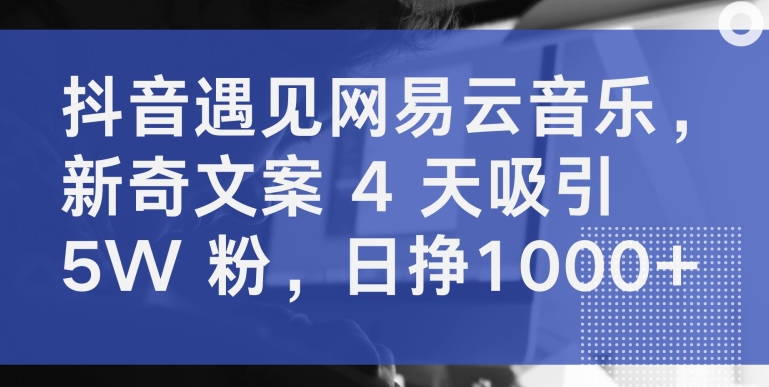 抖音遇见网易云音乐，新奇文案 4 天吸引 5W 粉，日挣1000+-有道网创