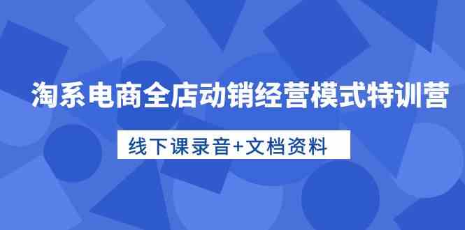 淘系电商全店动销经营模式特训营，线下课录音+文档资料-有道网创