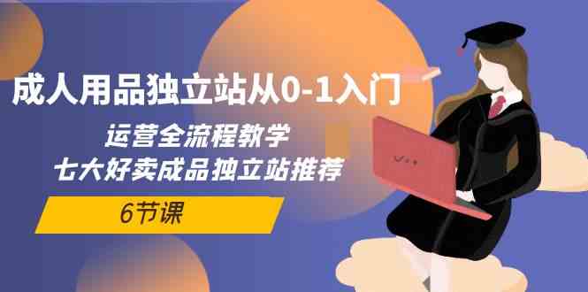 （10082期）成人用品独立站从0-1入门，运营全流程教学，七大好卖成品独立站推荐-6节课-有道网创