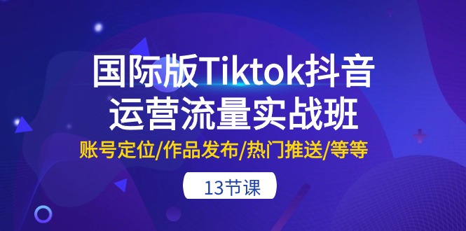 （10712期）国际版Tiktok抖音运营流量实战班：账号定位/作品发布/热门推送/等等-13节-有道网创