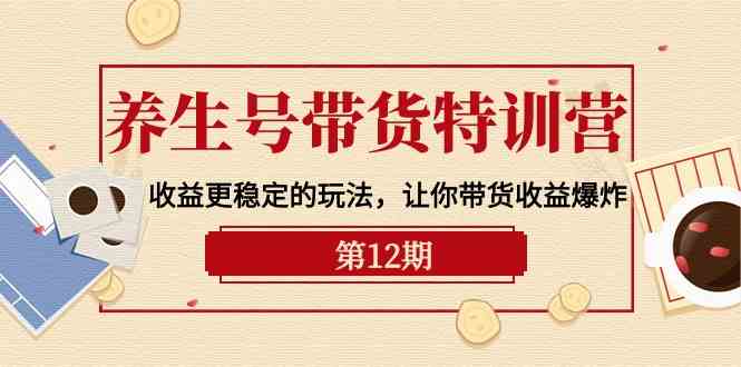 （10110期）养生号带货特训营【12期】收益更稳定的玩法，让你带货收益爆炸-9节直播课-有道网创