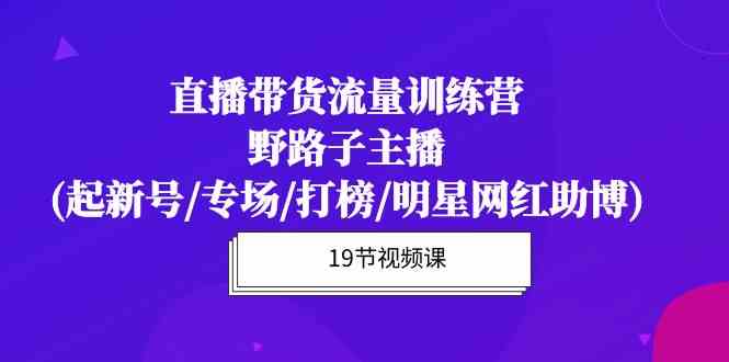 直播带货流量特训营，野路子主播(起新号/专场/打榜/明星网红助博)-有道网创