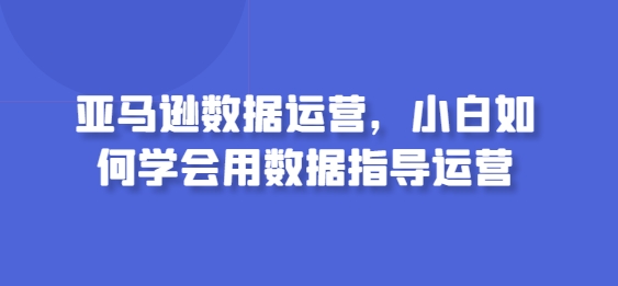 亚马逊数据运营，小白如何学会用数据指导运营-有道网创