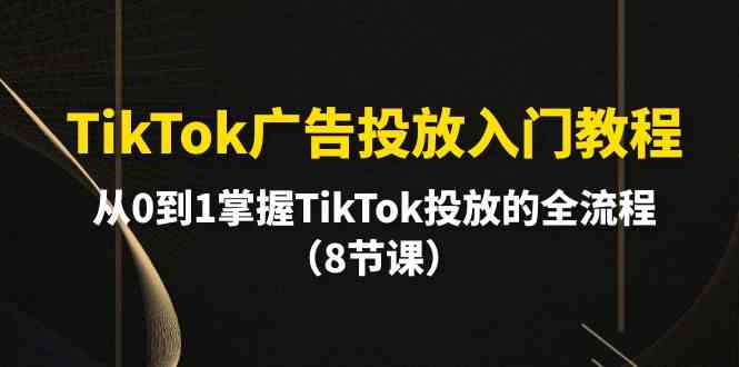 （10085期）TikTok广告投放入门教程，从0到1掌握TikTok投放的全流程（8节课）-有道网创