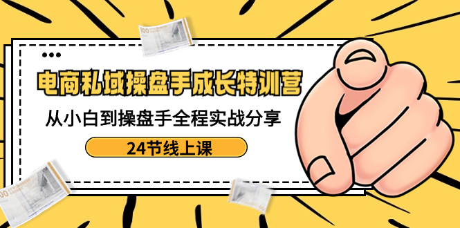 电商私域-操盘手成长特训营：从小白到操盘手全程实战分享-24节线上课-有道网创