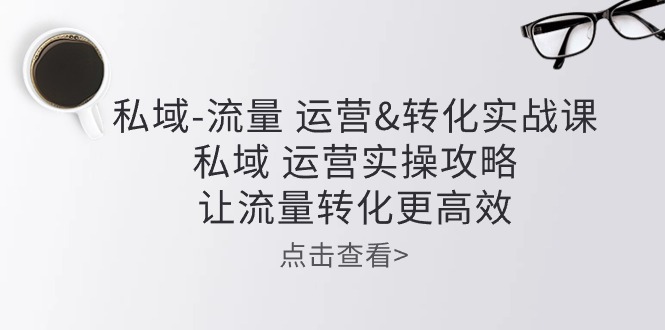 （10739期）私域-流量 运营&转化实操课：私域 运营实操攻略 让流量转化更高效-有道网创