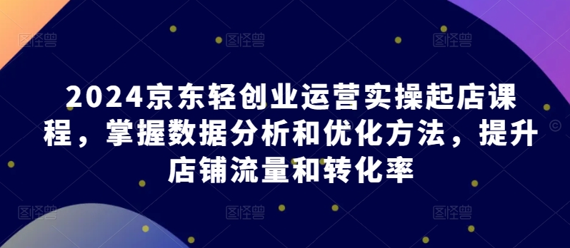 2024京东轻创业运营实操起店课程，掌握数据分析和优化方法，提升店铺流量和转化率-有道网创