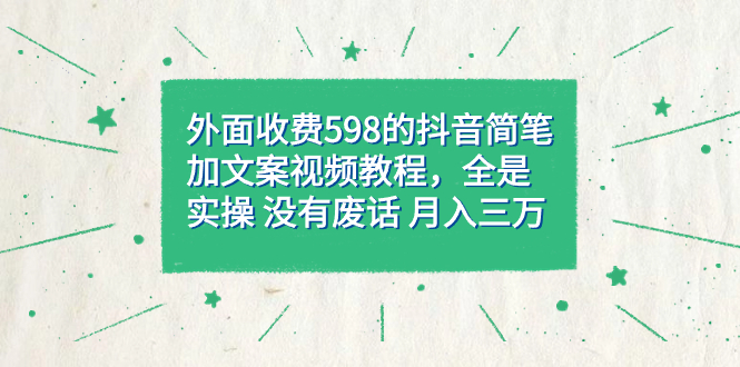 外面收费598抖音简笔加文案教程，全是实操 没有废话 月入三万（教程+资料）-有道网创