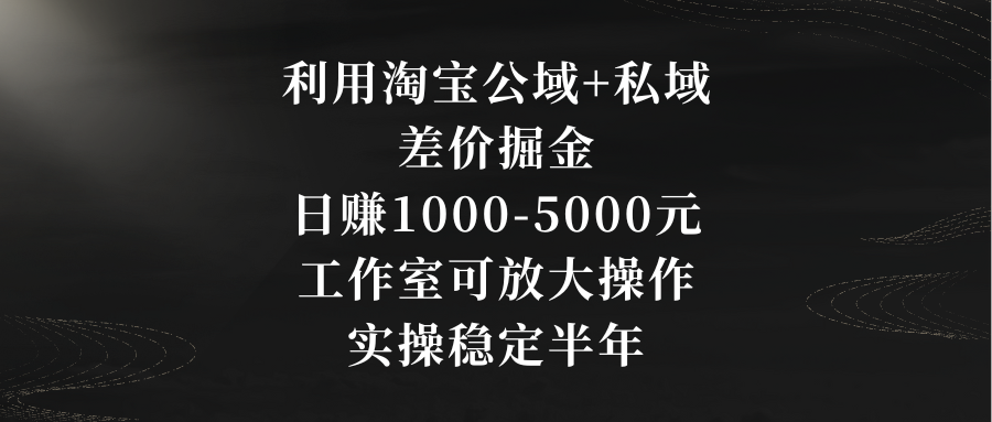 利用淘宝公域+私域差价掘金，日赚1000-5000元，工作室可放大操作，实操…-有道网创