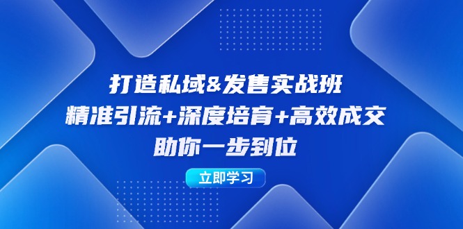 打造私域&发售实操班：精准引流+深度培育+高效成交，助你一步到位-有道网创