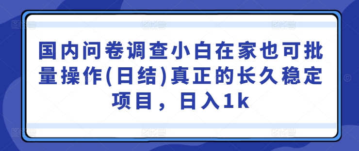 国内问卷调查小白在家也可批量操作(日结)真正的长久稳定项目，日入1k【揭秘】-有道网创