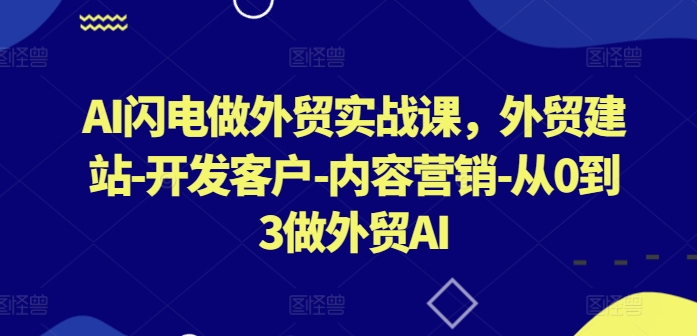 AI闪电做外贸实战课，​外贸建站-开发客户-内容营销-从0到3做外贸AI(更新)-有道网创