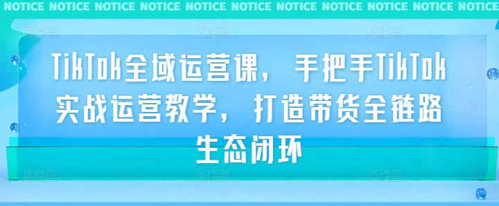 TikTok全域运营课，手把手TikTok实战运营教学，打造带货全链路生态闭环-有道网创