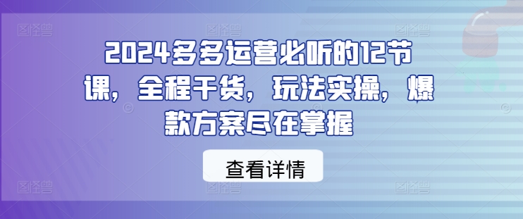 2024多多运营必听的12节课，全程干货，玩法实操，爆款方案尽在掌握-有道网创