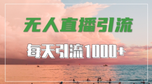 抖音快手视频号全平台通用，无人直播引流法，超暴力引流1000+高质量精准创业粉【揭秘】-有道网创