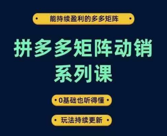 拼多多矩阵动销系列课，能持续盈利的多多矩阵，0基础也听得懂，玩法持续更新-有道网创