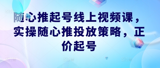 随心推起号线上视频课，实操随心推投放策略，正价起号-有道网创