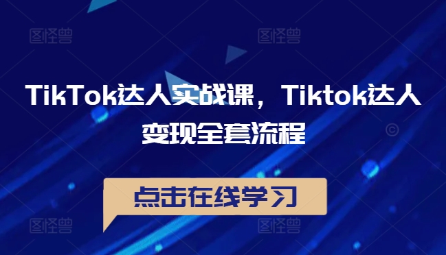 TikTok达人实战课，Tiktok达人变现全套流程-有道网创