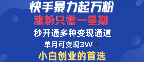 快手暴力起万粉，涨粉只需一星期，多种变现模式，直接秒开万合，单月变现过W【揭秘】-有道网创