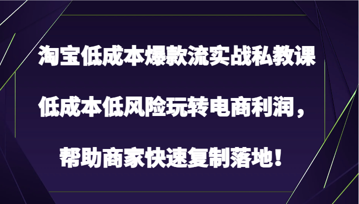 淘宝低成本爆款流实战私教课，低成本低风险玩转电商利润，帮助商家快速复制落地！-有道网创