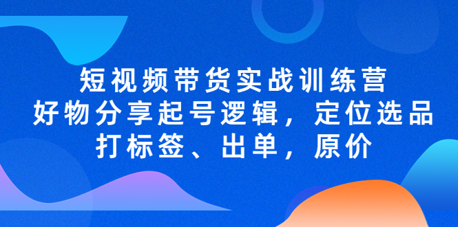 短视频带货实战训练营，好物分享起号逻辑，定位选品打标签、出单，原价-有道网创