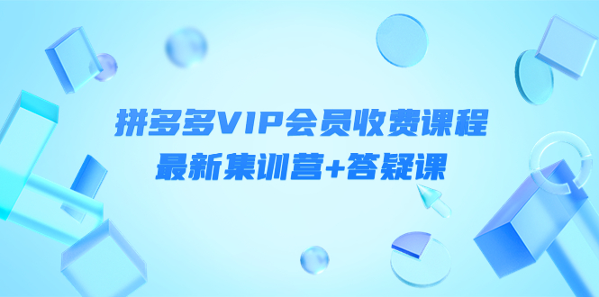 某社群·拼多多VIP会员收费课程，最新集训营+答疑课-价值3299元￼-有道网创