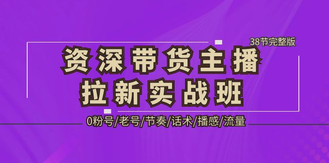 资深·带货主播拉新实战班，0粉号/老号/节奏/话术/播感/流量-38节完整版-有道网创