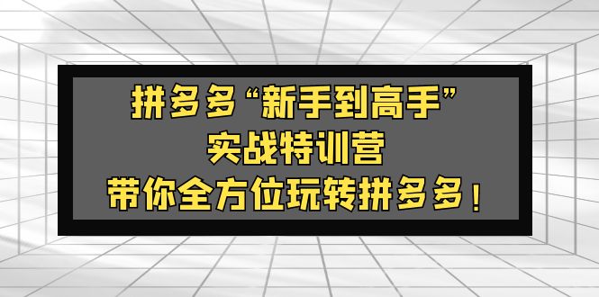 拼多多“新手到高手”实战特训营：带你全方位玩转拼多多！-有道网创