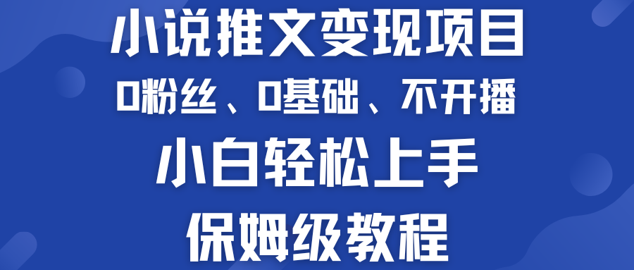 小说推文变现项目 0基础 不开播 小白轻松上手 保姆级教程-有道网创