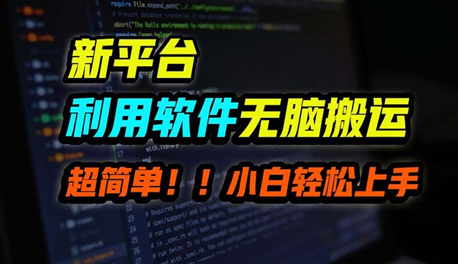 B站平台用软件无脑搬运，月赚10000+，小白也能轻松上手-有道网创